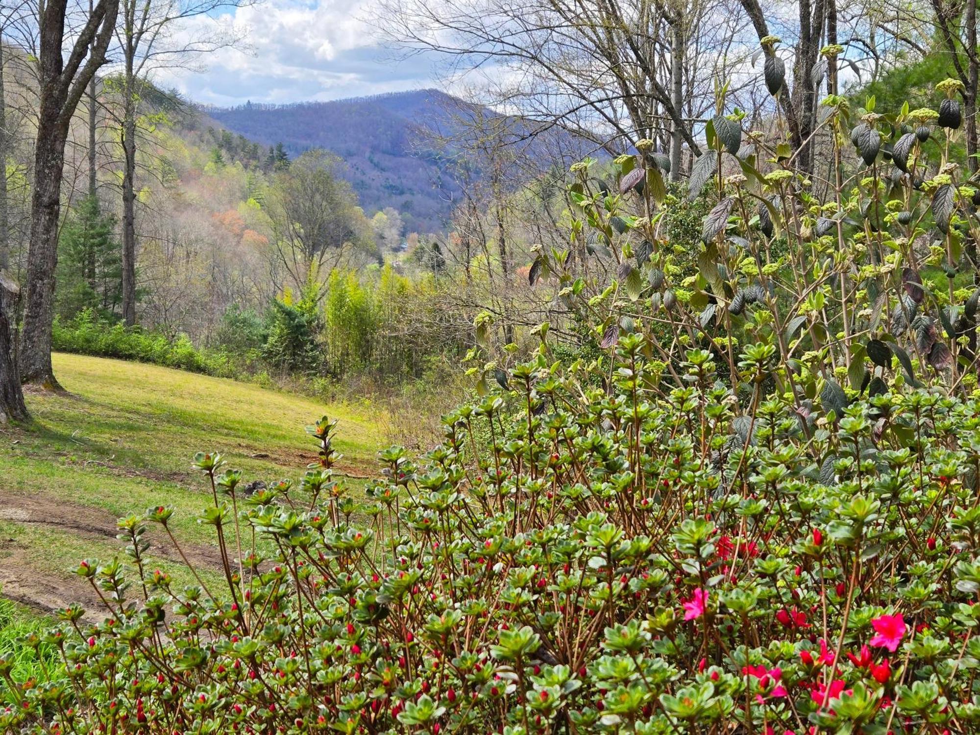 Bryson City Creekside Home With Hot Tub- 3 Bedroom-2 Bath Home Exteriör bild